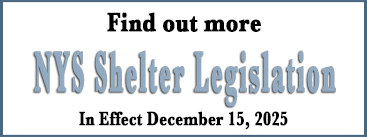 link to NYS shelter legislation
