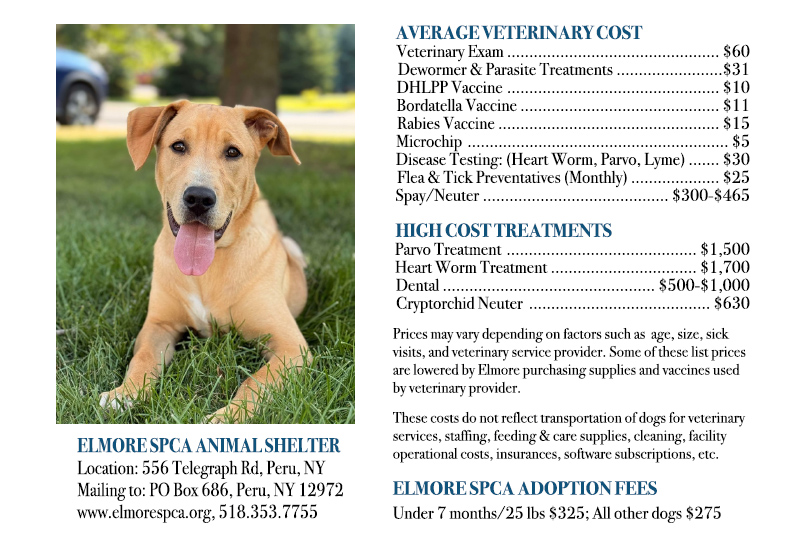Elmore Dog Medical Costs