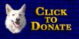 Donate now using NY Charities