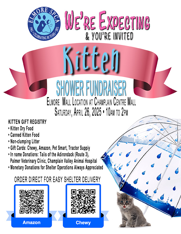 Kitten Shower