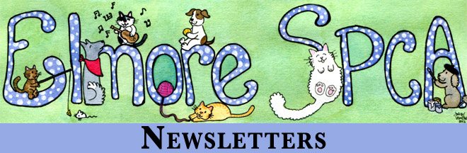 newsletter heading